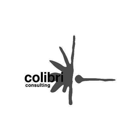Colibri consulting logo